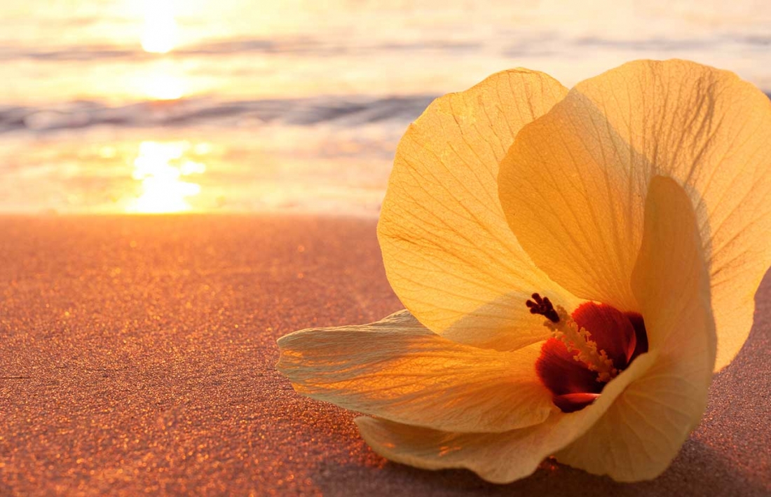 Imaginas lo que haríamos juntos? Únete a nosotros